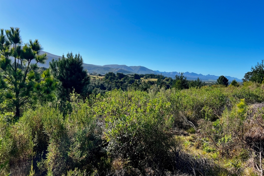  Bedroom Property for Sale in Wilderness Heights Western Cape